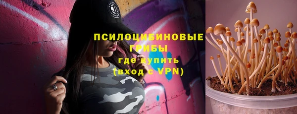 ГАЛЛЮЦИНОГЕННЫЕ ГРИБЫ Аркадак