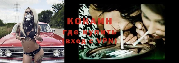 ГАЛЛЮЦИНОГЕННЫЕ ГРИБЫ Аркадак