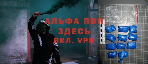 индика Армянск