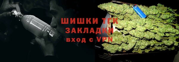 ГАЛЛЮЦИНОГЕННЫЕ ГРИБЫ Аркадак