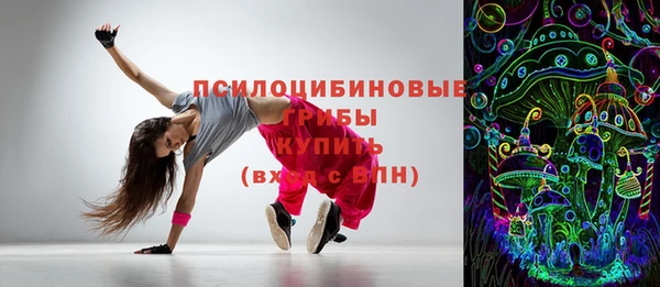 индика Армянск