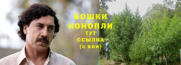 ГАЛЛЮЦИНОГЕННЫЕ ГРИБЫ Аркадак