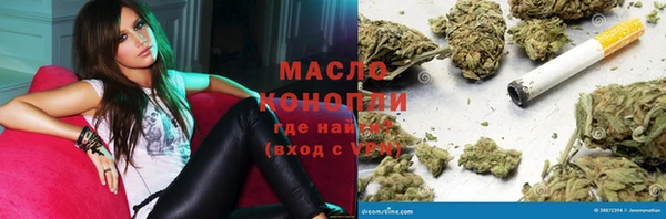 индика Армянск