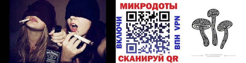 Галлюциногенные грибы Psilocybe  дарнет шоп  Урень 